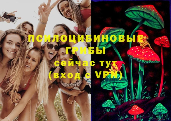 мет Верхний Тагил