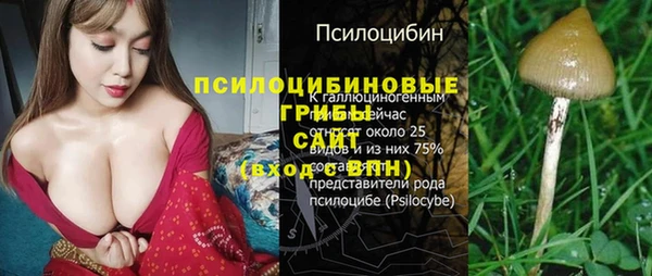 прущий лед Верея