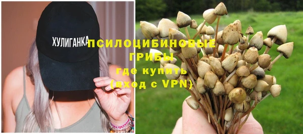 прущий лед Верея