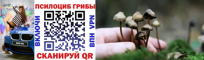 hydra ТОР  Ковылкино  Псилоцибиновые грибы Psilocybine cubensis 